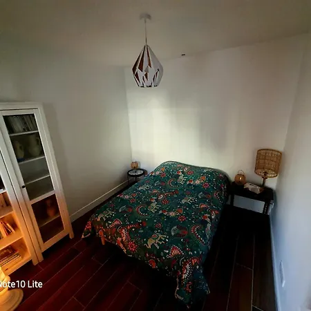 Apartamento Hôte Stéphanois &parking