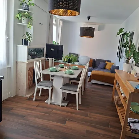 Hôte Stéphanois &parking Apartamento *