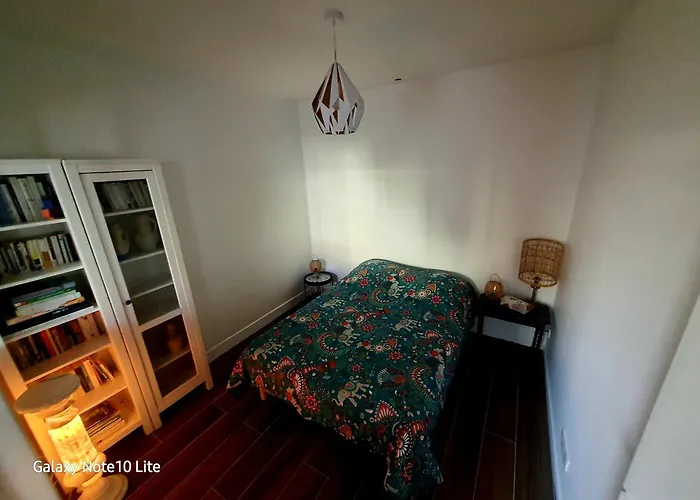 Apartament Stephanois &parking